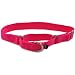Premier Collar (Small, 3/4), Color: Hot Pink