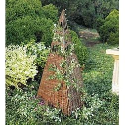 trellis