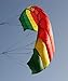 Flexifoil Buzz Power Kite (Rasta)