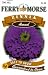 Ferry-Morse Annual Flower Seeds 1177 Zinnia - Giant Double Flow Violetqueen 700 Milligram Packet