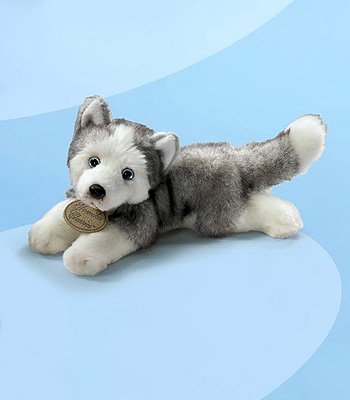 41FfanWx1FL Yomiko Classics Realistic Plush Husky Dog 11 Stuffed Animal