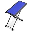 Tiger repose pied bleu guitare