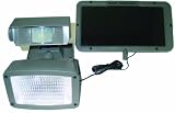 Solar Centurion Motion Sensor Security Light