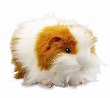 Animagic - My Guinea Pig Patch