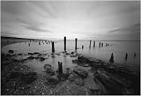 South Swale Nature Reserve photographic art print 33x48cm by Trevor Crone