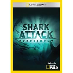 Shark Attack Experiment