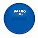 6 lb Weighted Fitness Balls with Soft Vinyl Covering