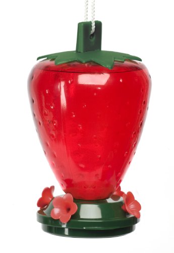 Artline 50 Ounce 3 Strawberry Feeder