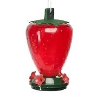 Cherry Valley Feeder 50-Ounce Plastic Strawberry Hummingbird Feeder