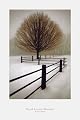 Solitude by David Lorenz Winston poster print,24 in. x 36 in.