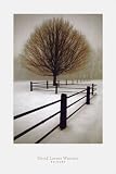 Solitude by David Lorenz Winston poster print,24 in. x 36 in.
