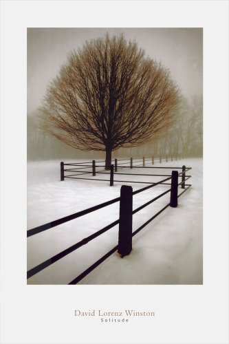 Solitude by David Lorenz Winston poster print,24 in. x 36 in.