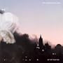 The Disintegration Loops I