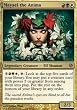 Magic the Gathering Shards of Alara - Mayael the Anima Mythic Rare Card 179/249