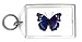 Keychain with insect, butterfly