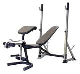 Gold's Gym Power Series GB 1500