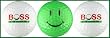 Boss Golf Balls w/ Ball & Green