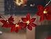 Lightshare™ UPDATE 24L LED Bonsai Snow Tree,+Free Gift:8L LED Poinsettia Artificial Decoration Light,Home/Festival/Party/Christmas,Indoor and Outdoor Use,Warm White
