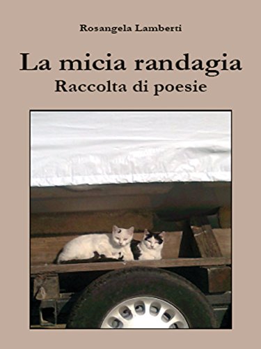 La micia randagia (Italian Edition)
