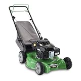 Cheap Lawn Boy 10604 20 Inch 149cc 6 1/2 GT OHV Kohler Gas Powered Self Propelled Lawn Mower