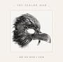And You Were A Crow