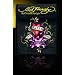 Ed Hardy Love Kills Slowly Litter Storage Trash Bag