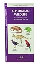 Australian Wildlife: An...