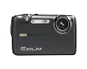 Casio Exilim EX-FS10 9MP Digital Camera with 3x Optical Image Stabilized Zoom and 2.5 inch LCD (Gray)