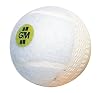 Buy Cricket Ball - Gunn & Moore White Swingking Cricket Ball