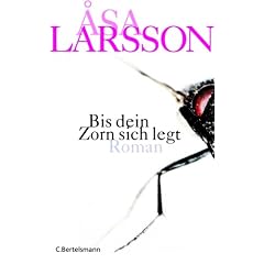 Bis dein Zorn sich legt: Roman