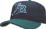 Tampa Bay Devil Rays - Collage 12" X 30" Pennant MLB Pro Baseball