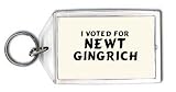 I voted for Newt Gingrich Keychain