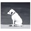 Music For Nipper Produced by Kahimi Karie