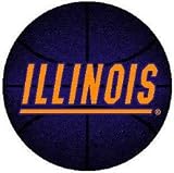 Illinois Fighting Illini Round Rug