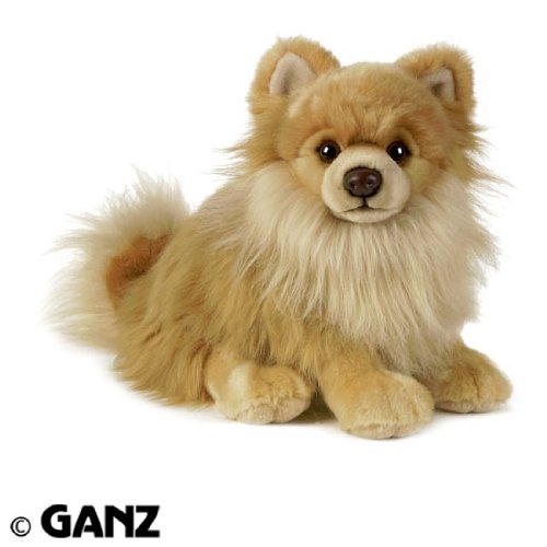 Webkinz Signature Pomeranian with Trading Cards