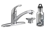American Standard 4662.002.002 Streaming Polished Chrome