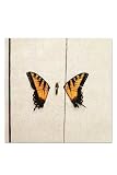 Paramore Brand New Eyes Vinyl LP