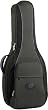 Reunion Blues RB Continental RBC3 Acoustic Guitar Case