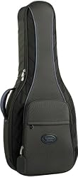 Reunion Blues RB Continental RBC3 Acoustic Guitar Case