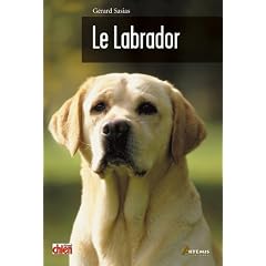 Le Labrador
