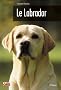 Le Labrador