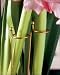 Amaryllis Support Stakes - Trio
