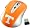 Tennessee Volunteers