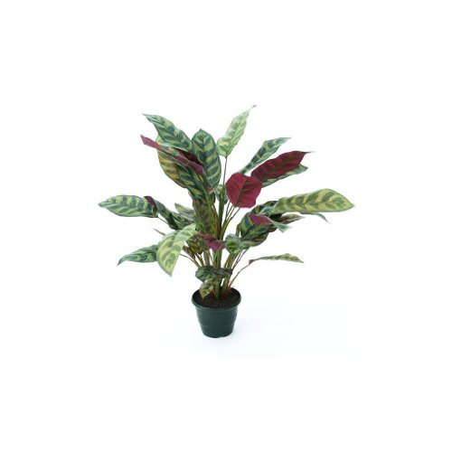 L'été indien - Calathea artificiel (60cm)