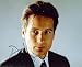 The X-Files David Duchovny Autographed Photo - Fox Mulder