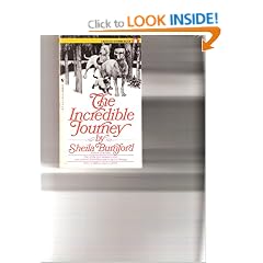 Incredible Journey