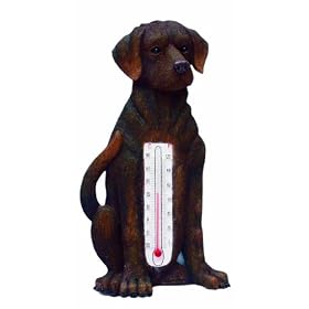 Chocolate Labrador Thermometer
