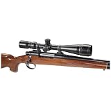 BSA 8