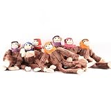 Me & My Homies Officially Licensed Helmeted Super Fly Monkey 7-Pack - Rainbow Connection