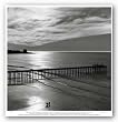 The Scripps Pier, 1966 by Ansel Adams 8"x8" Art Print Poster